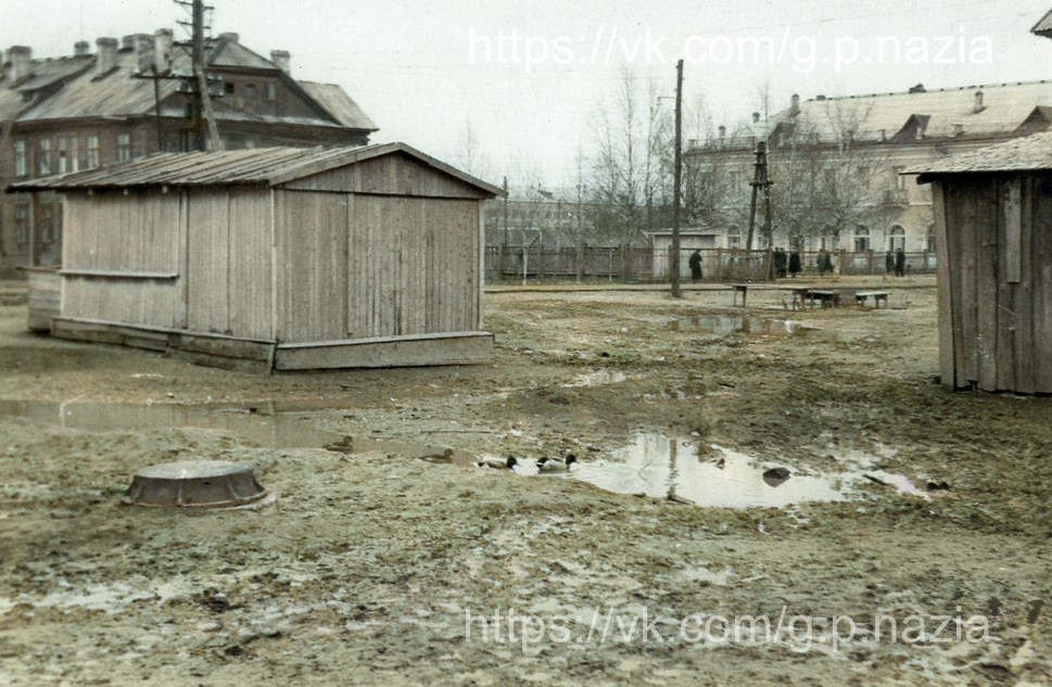 Назия в 1950-х и 1970-х. История Назиевского городского поселения