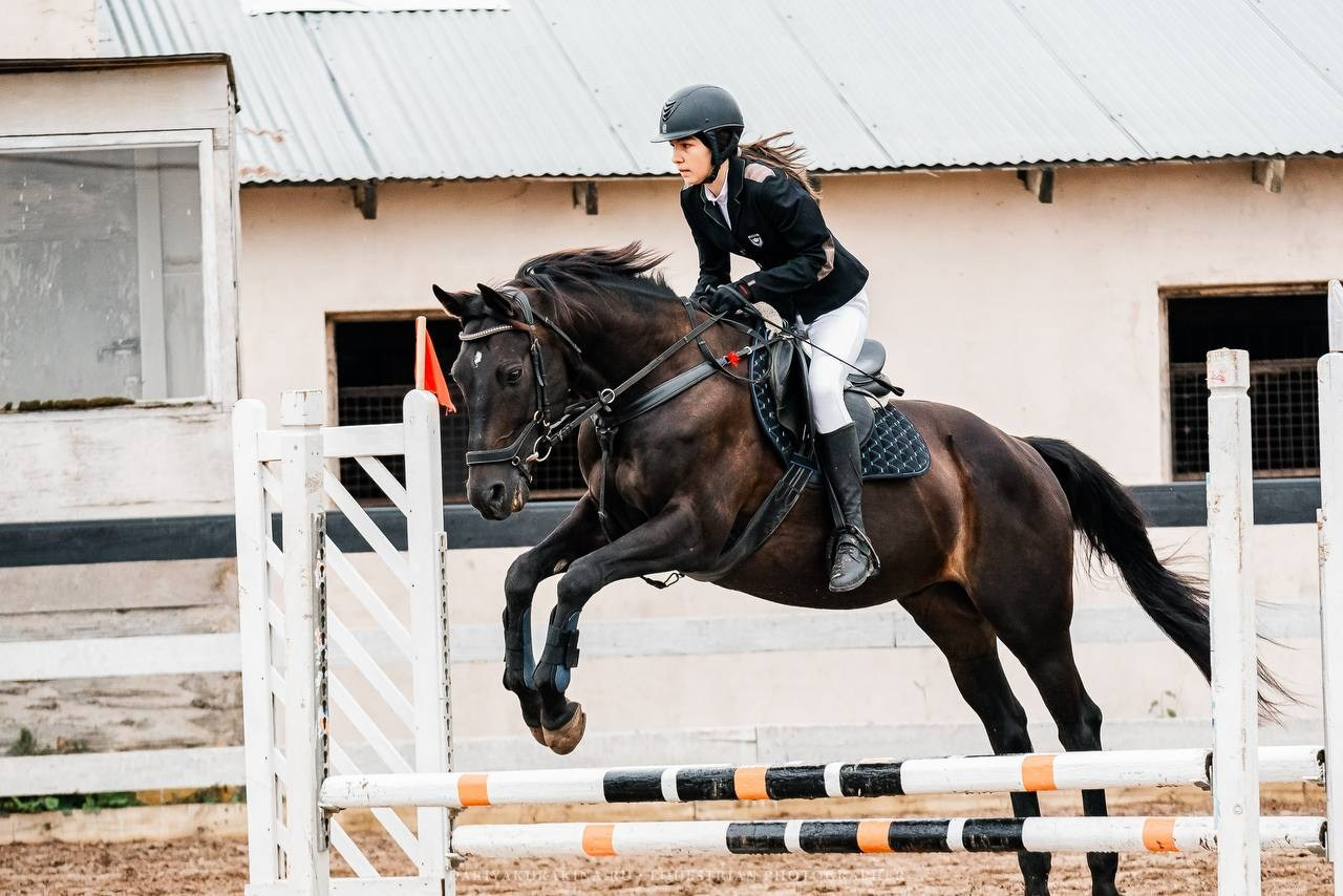 ОСЕННИЙ КУБОК КСК «СОЗВЕЗДИЕ» по КОНКУРУ. Конный фотограф Куракина Дарья • Фотосессии с лошадьми