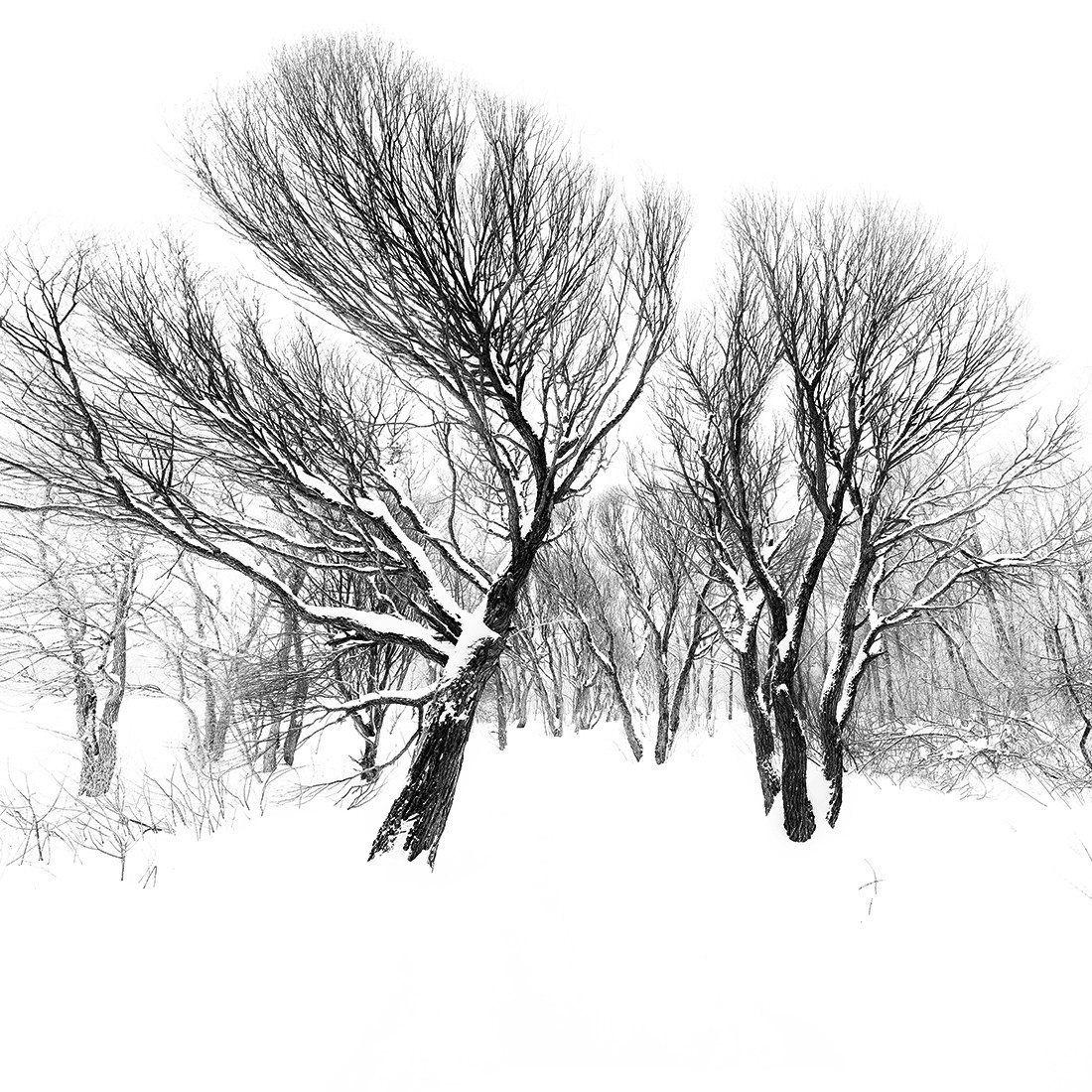 Landscape. Vasiliy Riabovol – Fine Art Photography | Zeit, Raum und Stille