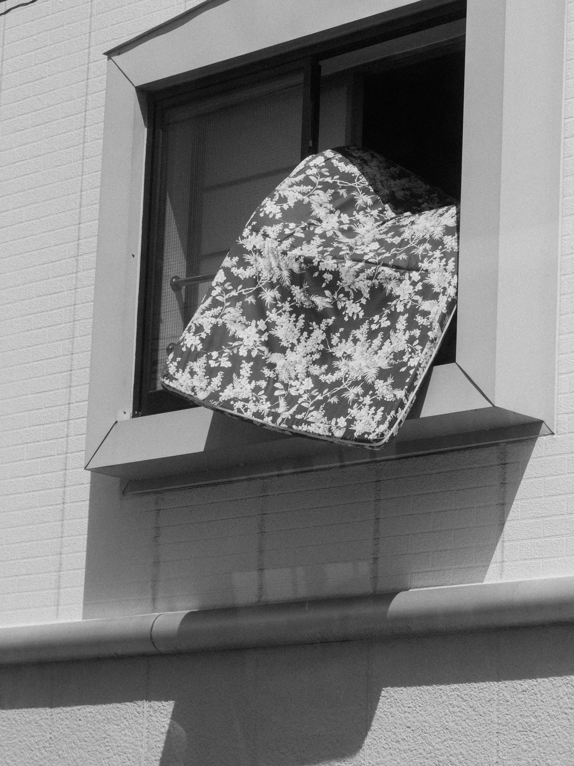 Современная концептуальная фотография о теле, уязвимости и идентичности. Визуальная практика на стиле честности, пост-иронии и искусства.Рекламная фотография, Концептуальная фотография, Современный художник, Психология, Коммерческий фотограф, Репортажный фотограф, Стрит фотография, Арт, Сюрреализм, Мобильная фотография, Снято на айфон, Дима Бурза