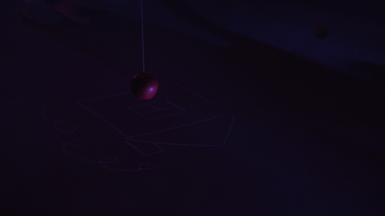 Красное дерево. Фото / Видеосъемка в Москве