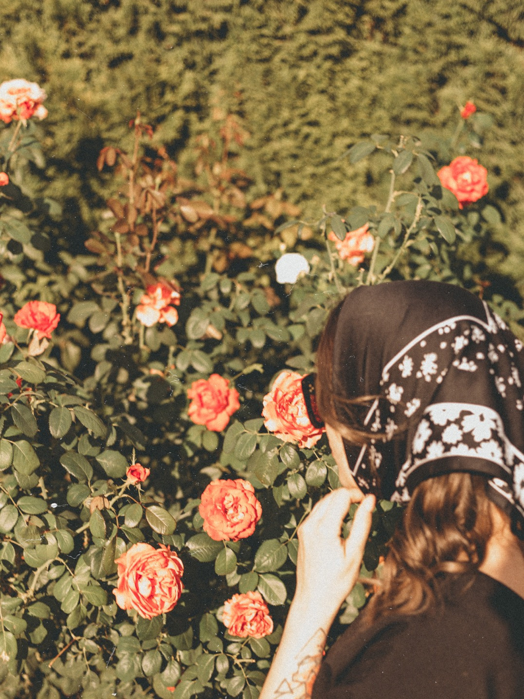 Dasha. Фотограф города Уральск Ольга Василец