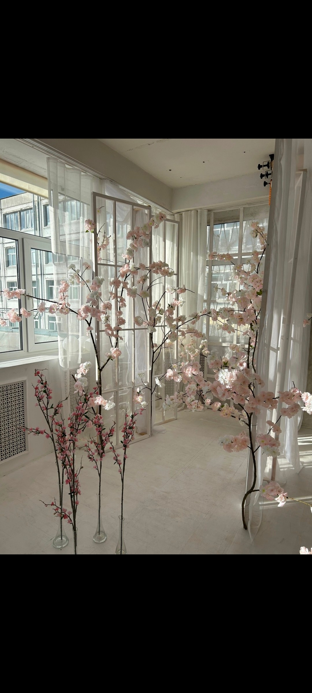 Все фотостудии в Твери. Свадебный и семейный фотограф в Твери и Тверской области