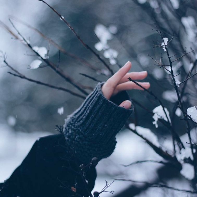 Зимняя в лесу. Александра Мельниченко/ Бегающий фотограф