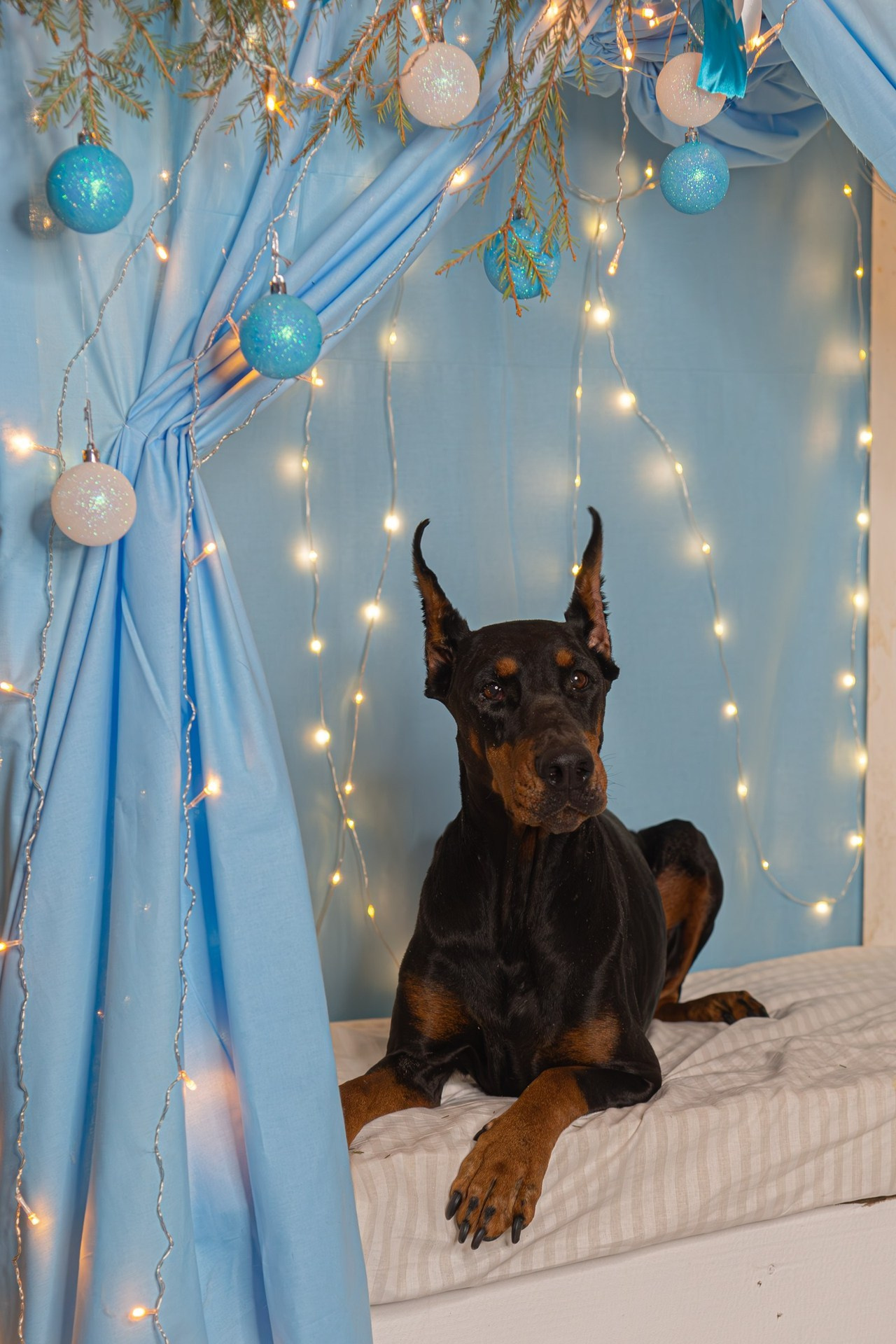 Отзывы. Фотограф на Камчатке Анна Моргачёва. Семейные и детские съёмки