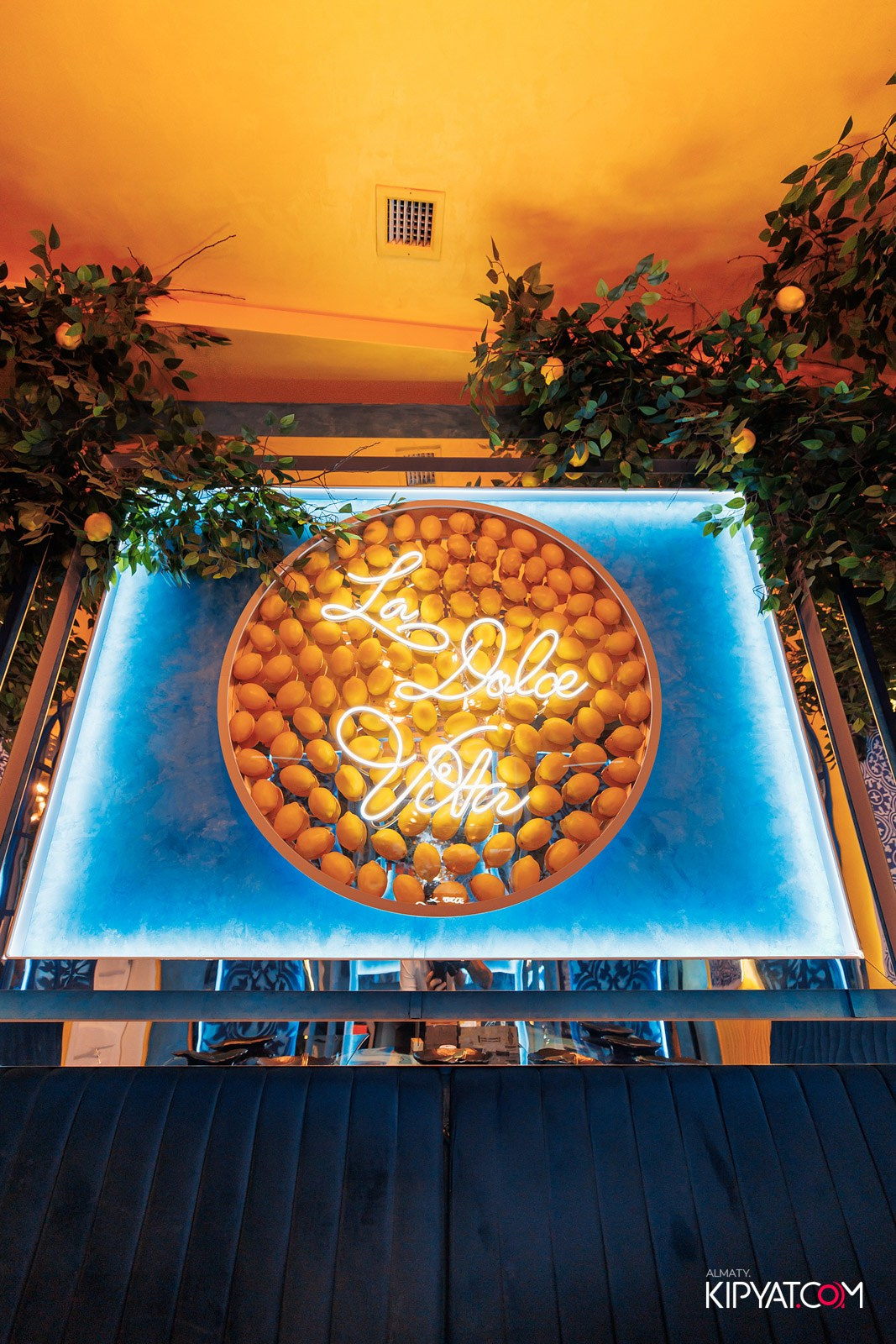 УХО И МЕДВЕДЬ НА ГАГАРИНА. КИПЯТКОМ АЛМАТЫ!