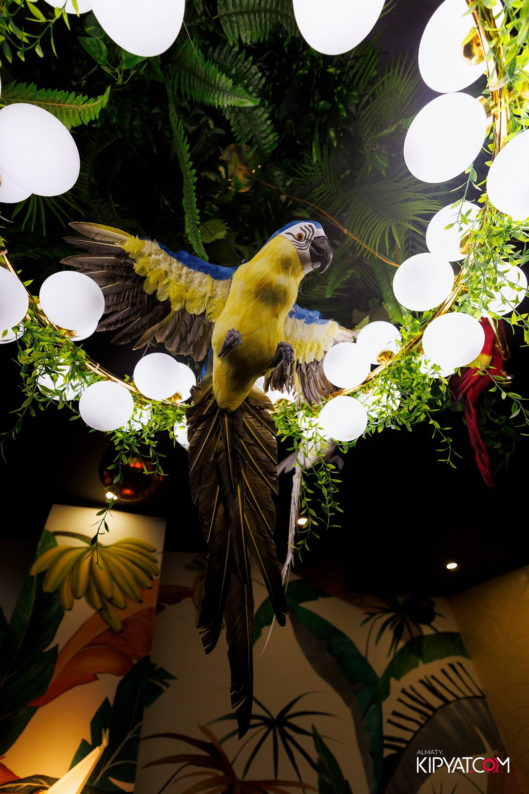 ДОРОГАЯ. Я НЕ ПИЛ. КИПЯТКОМ АЛМАТЫ! Фотосъемка мероприятий в Алматы