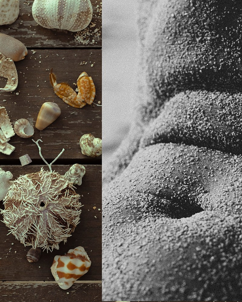 Арт фотограф Виктория Фатина Москва | visual art