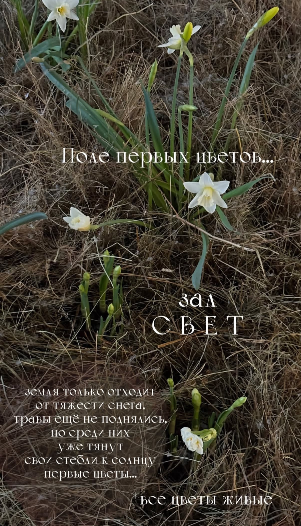 Фотостудия МОХ зал Свет. Фотограф Настя Лев