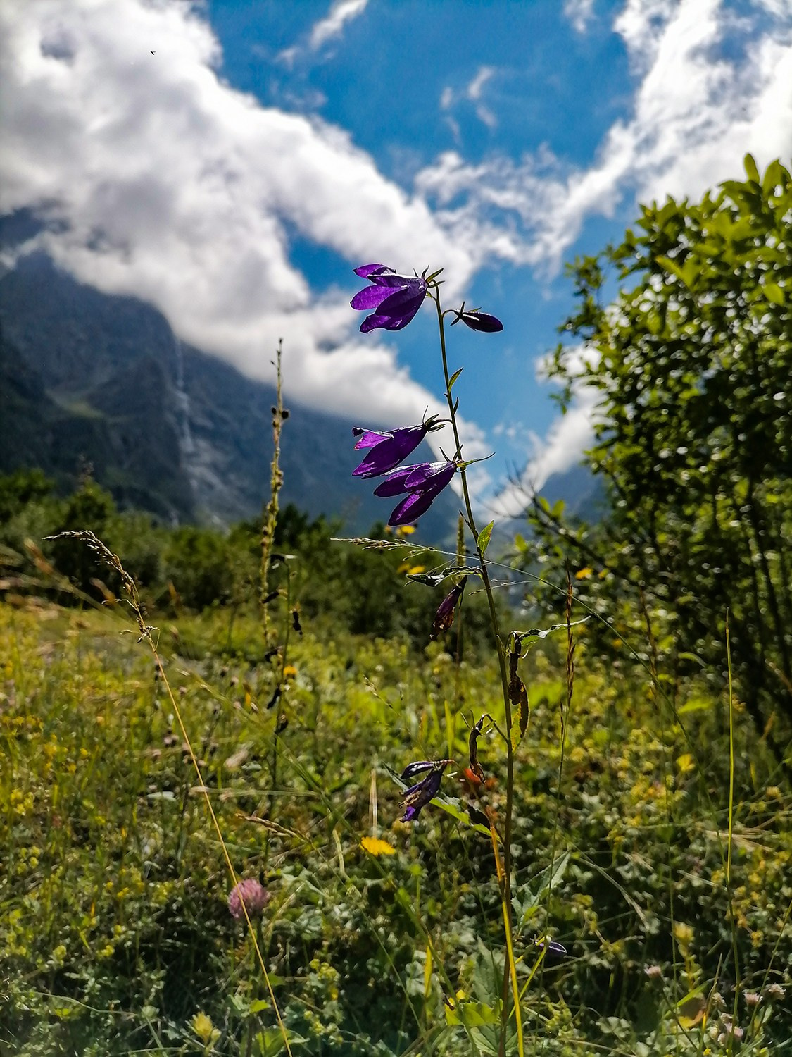 Мобильная фотография. Фотография — это воспоминания…