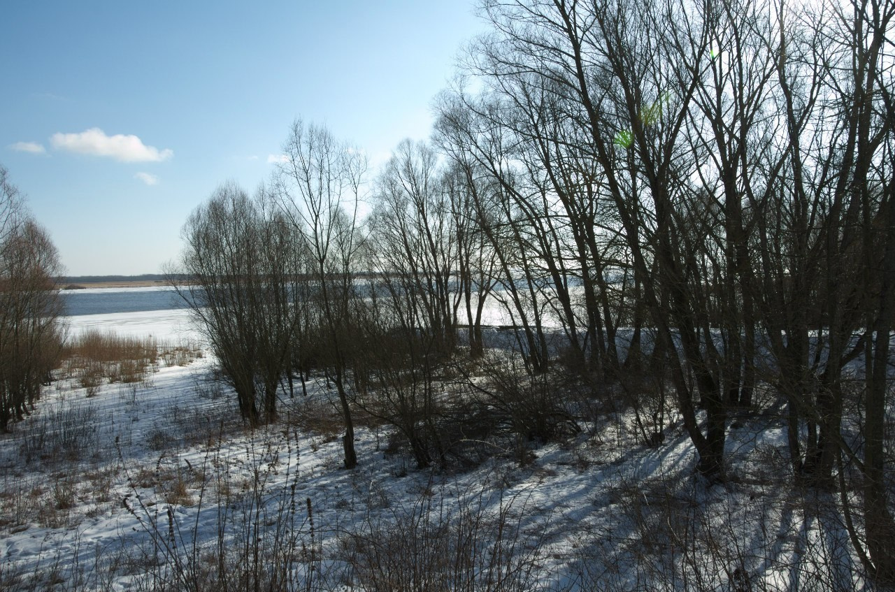 Великий Новгород | 27-28.02.2016. Галерея Фантим