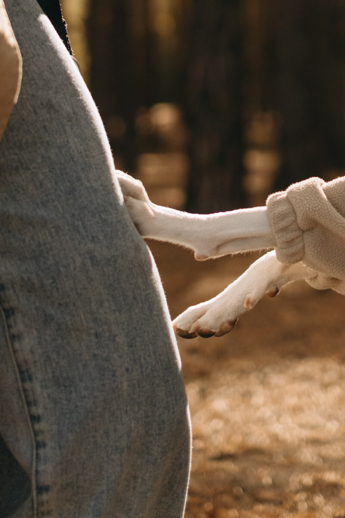 Алиса и Лео. Фотограф — Анималист | Санкт-Петербург