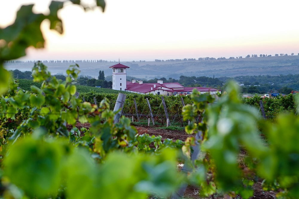 КРАСНОДАРСКИЙ КРАЙ МЕСТА. Свадебный и семейный фотограф/видеограф в Краснодаре Наталья Осинская