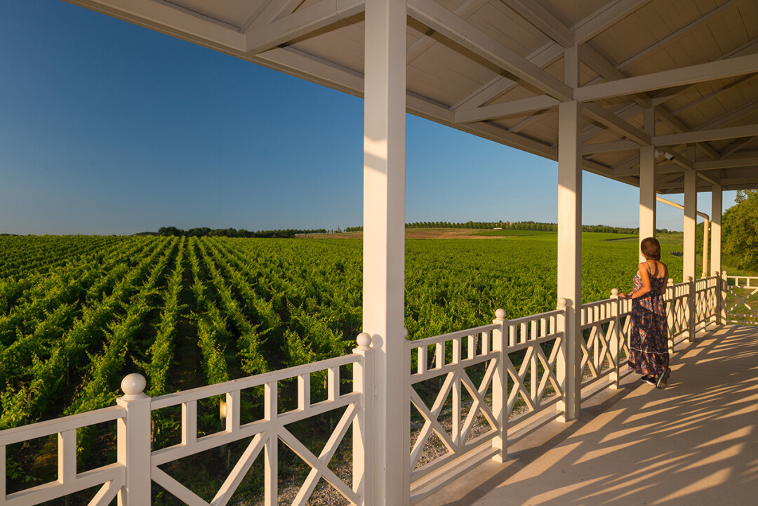 КРАСНОДАРСКИЙ КРАЙ МЕСТА. Свадебный и семейный фотограф/видеограф в Краснодаре Наталья Осинская