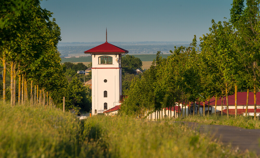 КРАСНОДАРСКИЙ КРАЙ МЕСТА. Свадебный и семейный фотограф/видеограф в Краснодаре Наталья Осинская