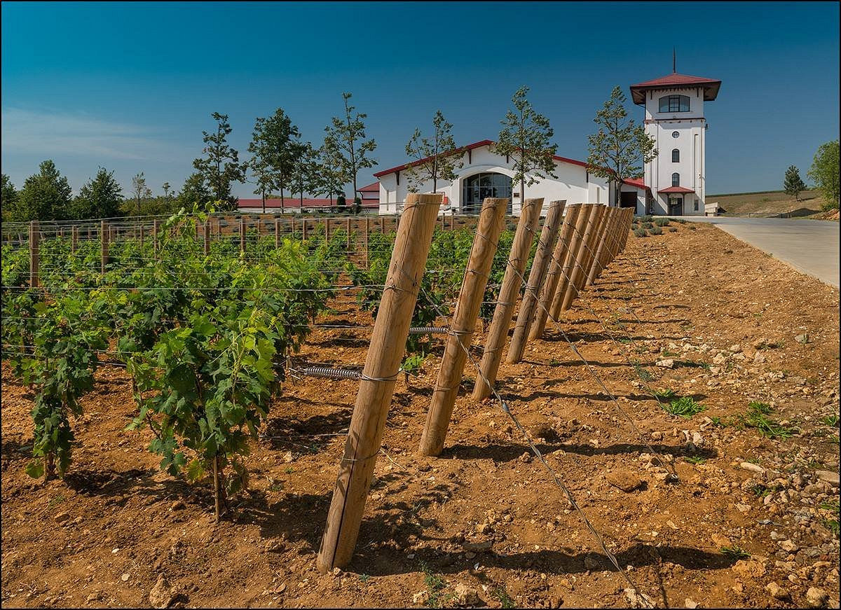 КРАСНОДАРСКИЙ КРАЙ МЕСТА. Свадебный и семейный фотограф/видеограф в Краснодаре Наталья Осинская