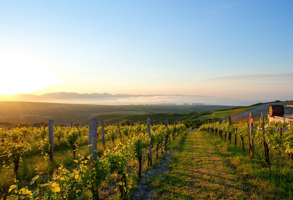 КРАСНОДАРСКИЙ КРАЙ МЕСТА. Свадебный и семейный фотограф/видеограф в Краснодаре Наталья Осинская