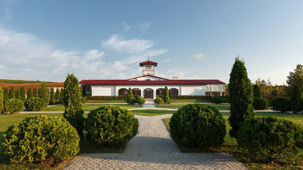 КРАСНОДАРСКИЙ КРАЙ МЕСТА. Свадебный и семейный фотограф/видеограф в Краснодаре Наталья Осинская