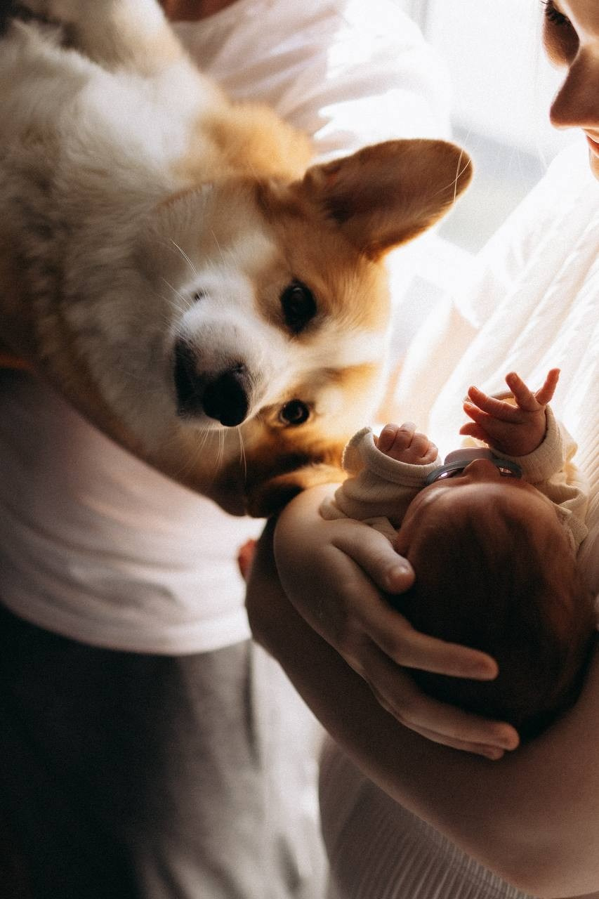 Новорожденные. Смирнова Алена Фотограф Екатеринбург