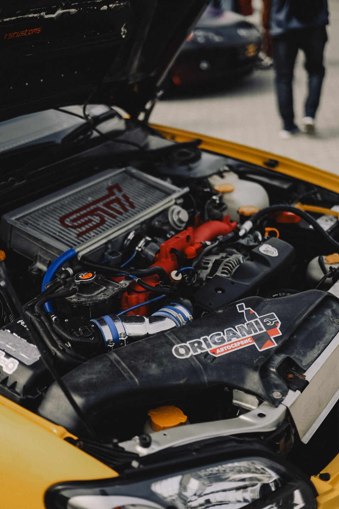 MIDDAY’2025. Семейный фотограф Полина Легачева