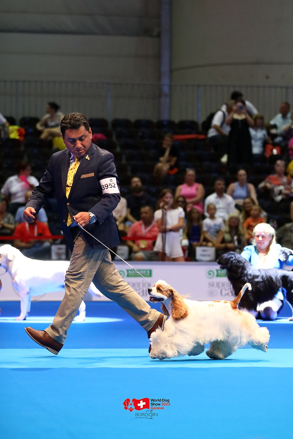 24-27.08.2023 WDS Geneva. Фотограф Дмитрий Бородин