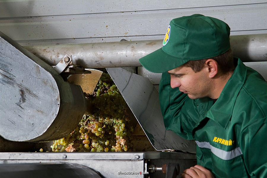 Винзавод Качинский +. Свадебный фотограф, фотосъемка в Крыму, Севастополе, Симферополе, Ялте