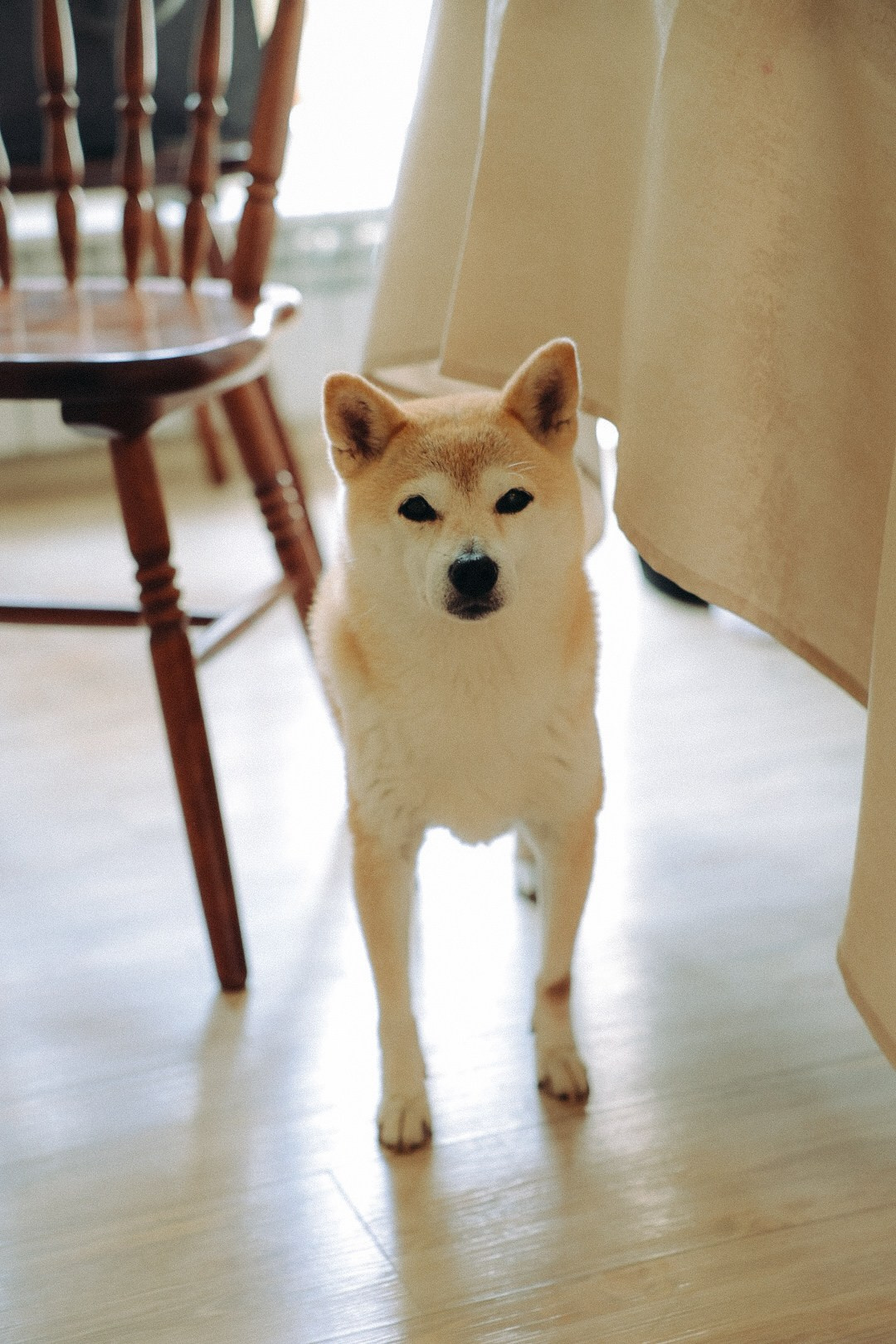 Арсений и Мария. Фотограф Нижний Новгород