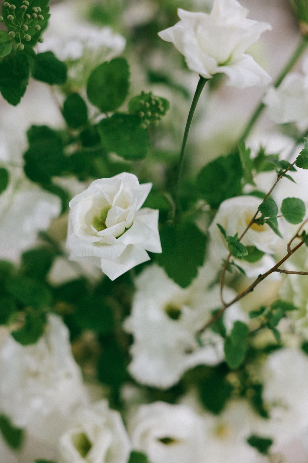 Данил и Рита. Фотограф Нижний Новгород