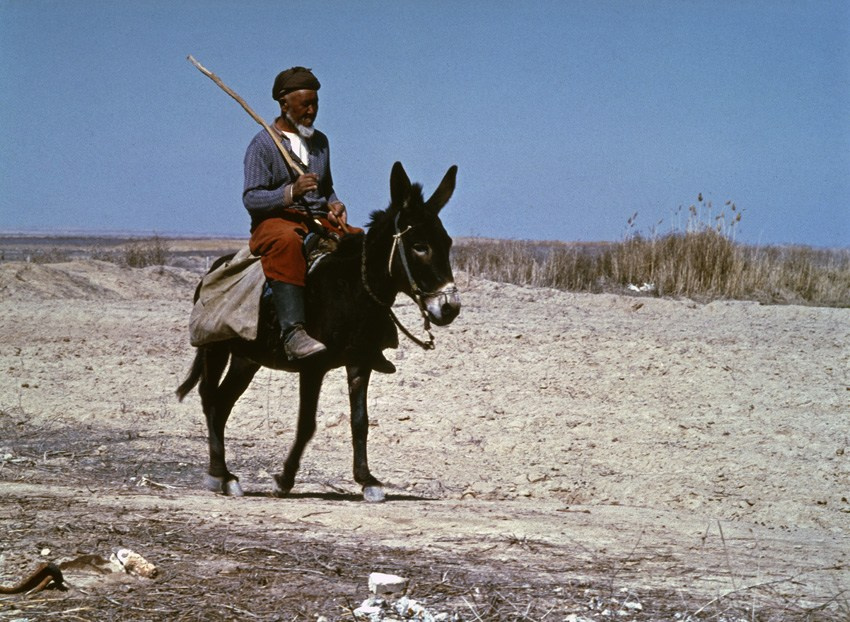 Люди, базары. ВАДИМ ГИППЕНРЕЙТЕР — ВЕЛИКИЙ ФОТОГРАФ ЗЕМЛИ РУССКОЙ