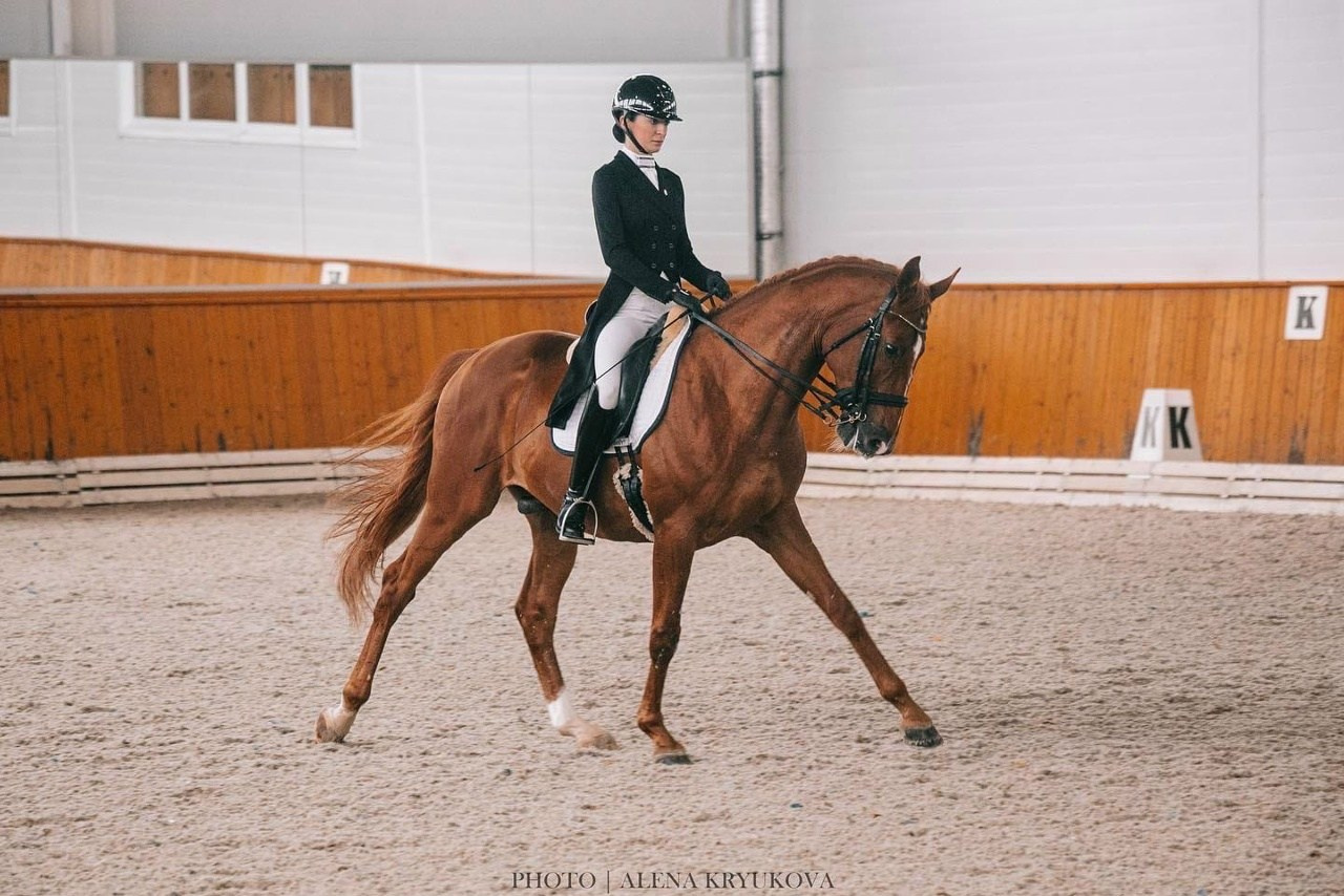 Зимние соревнования. Фотосессии с лошадьми