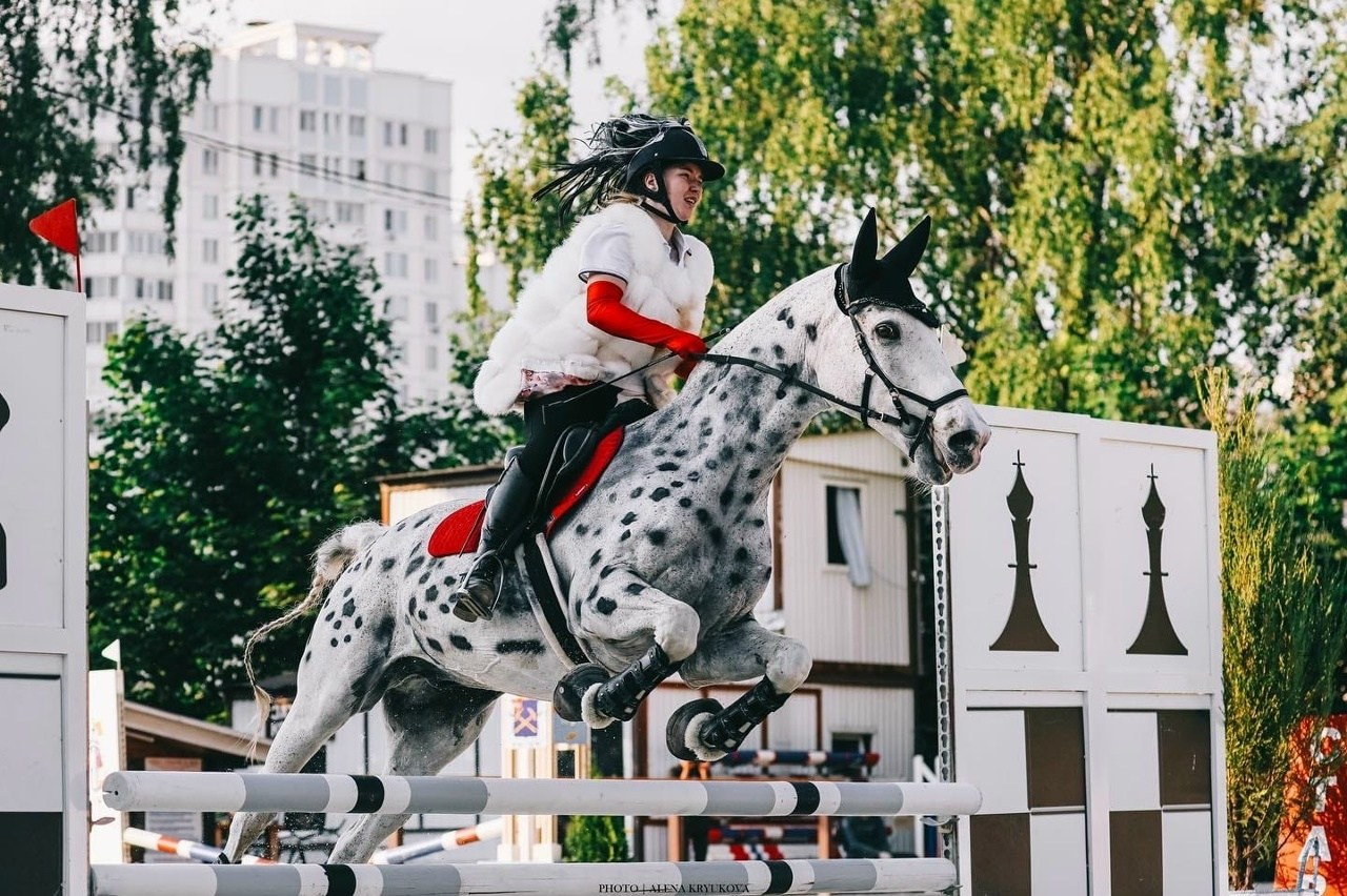Летние соревнования. Фотосессии с лошадьми