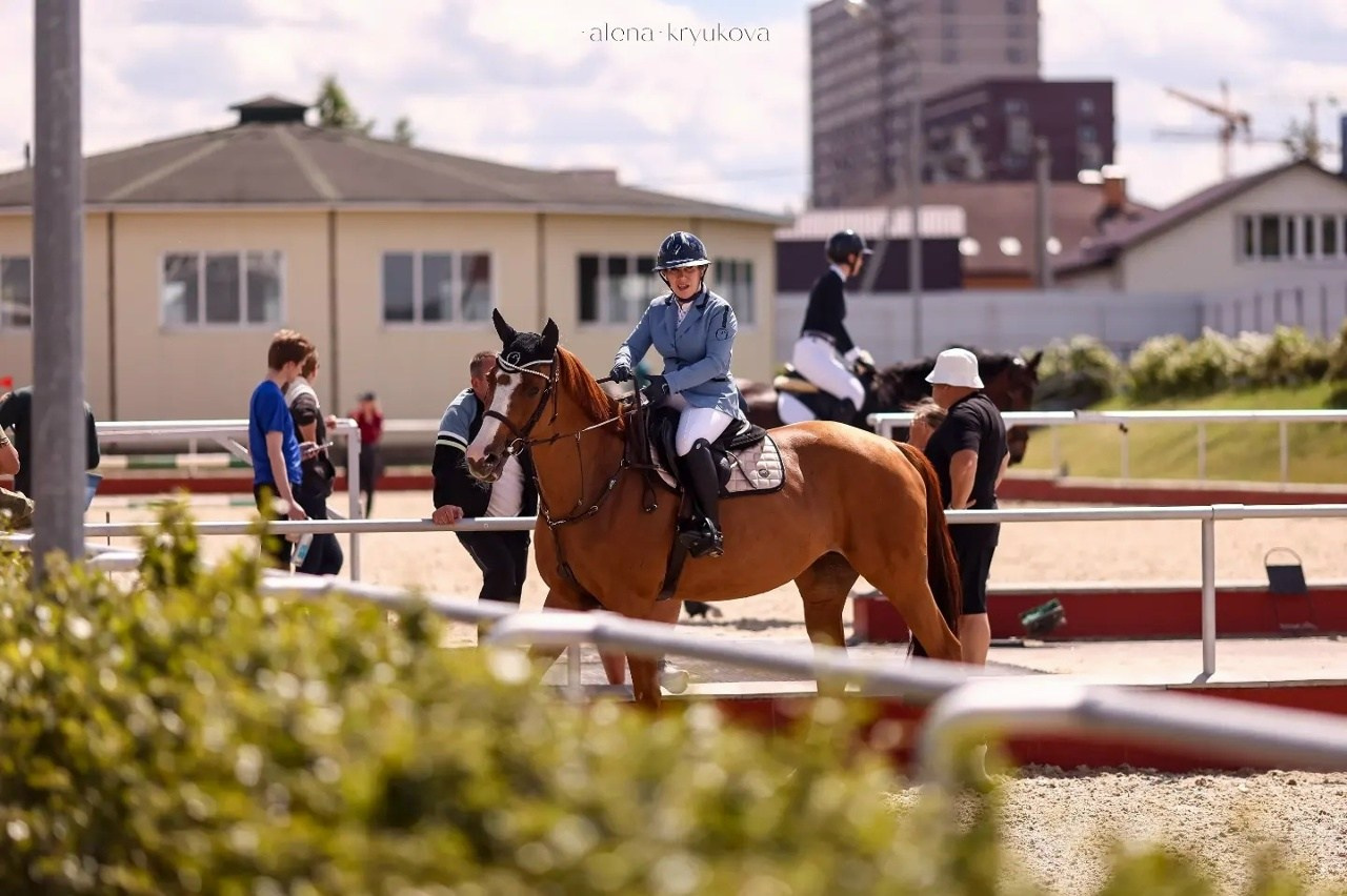Летние соревнования. Фотосессии с лошадьми