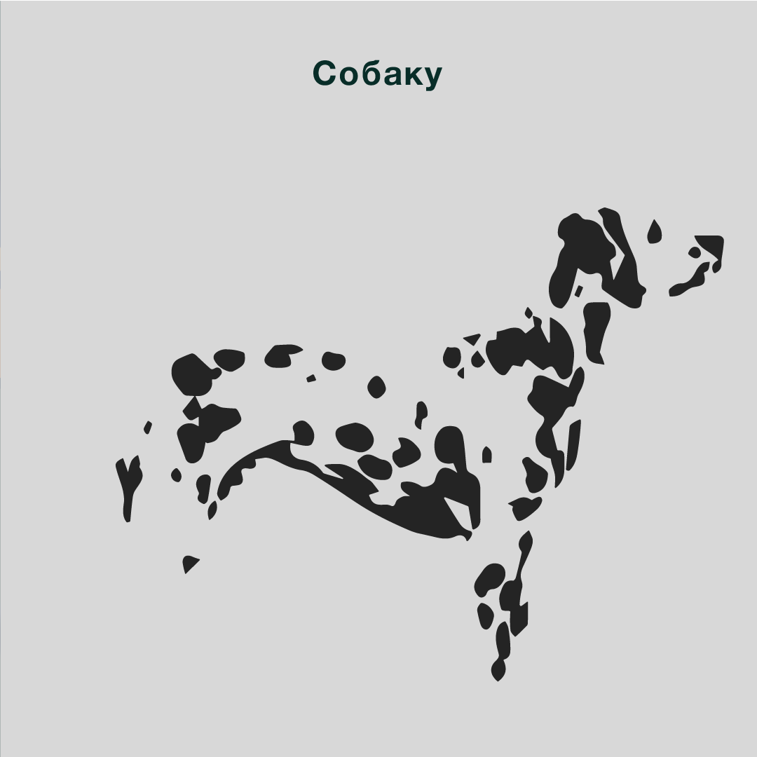 Как визуальная коммуникация влияет на бренд. Женский и контент фотограф Люба Пунанцева. Северодвинск. Архангельск