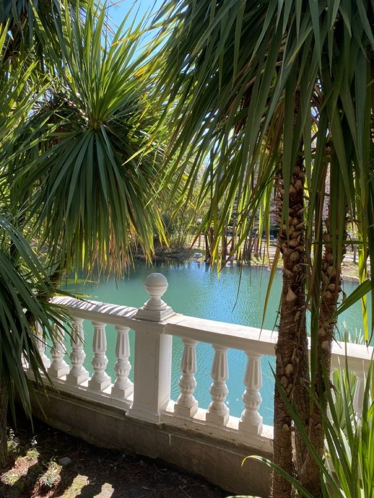 Фото путешествие в Сочи для девушек. Фотограф и видеограф Елена Лисина