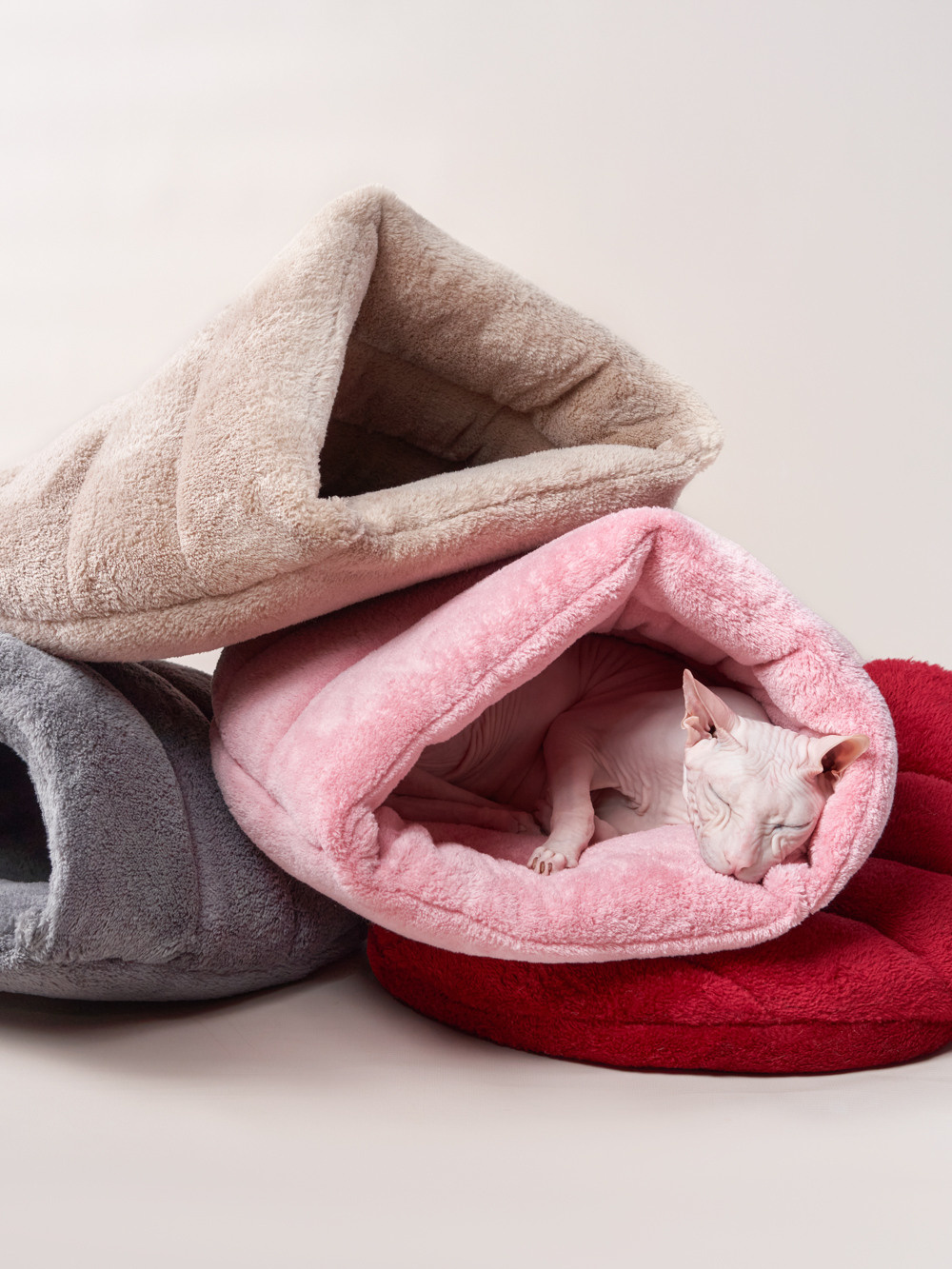 Advertising shooting with animals. Pets in advertising. Dog photographer Averianova Anna — Art photography of dogs