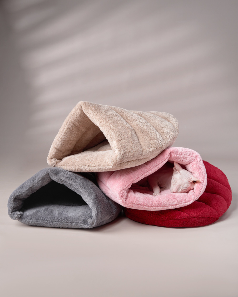 Advertising shooting with animals. Pets in advertising. Dog photographer Averianova Anna — Art photography of dogs