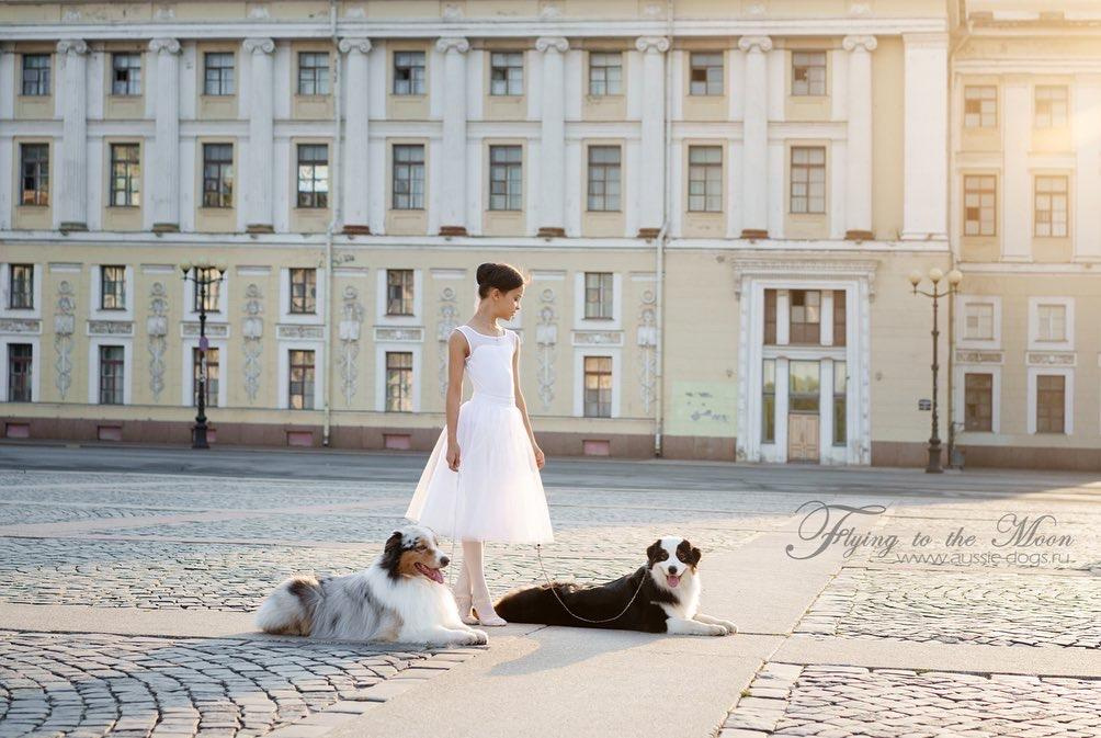 Фотографии собак в городе. Фотограф-анималист Аверьянова Анна — Художественная фотосъёмка собак