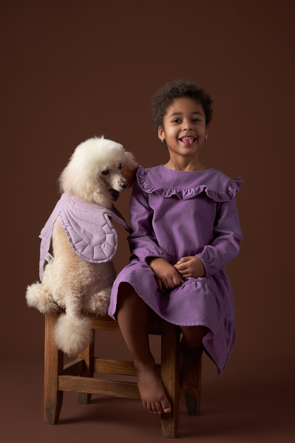 Фотографии собак и кошек в студии Анималистика. Фотограф-анималист Аверьянова Анна — Художественная фотосъёмка собак