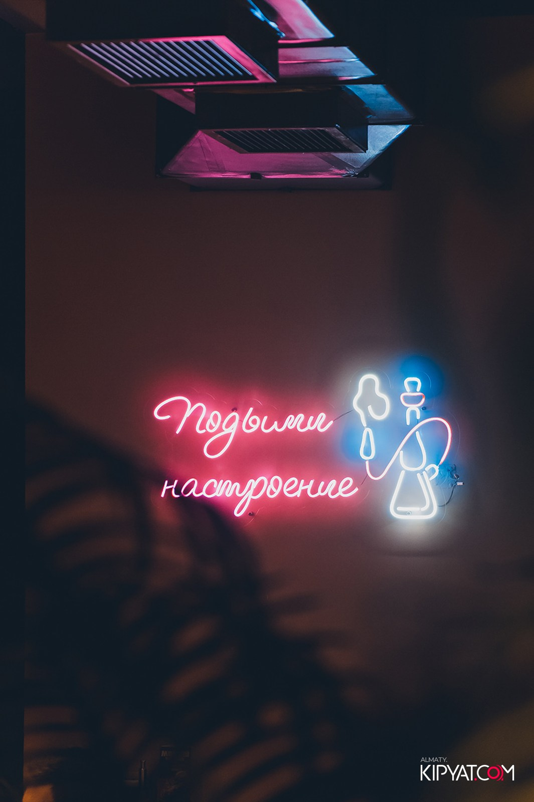 VICE CITY. КИПЯТКОМ АЛМАТЫ! Фотосъемка мероприятий в Алматы