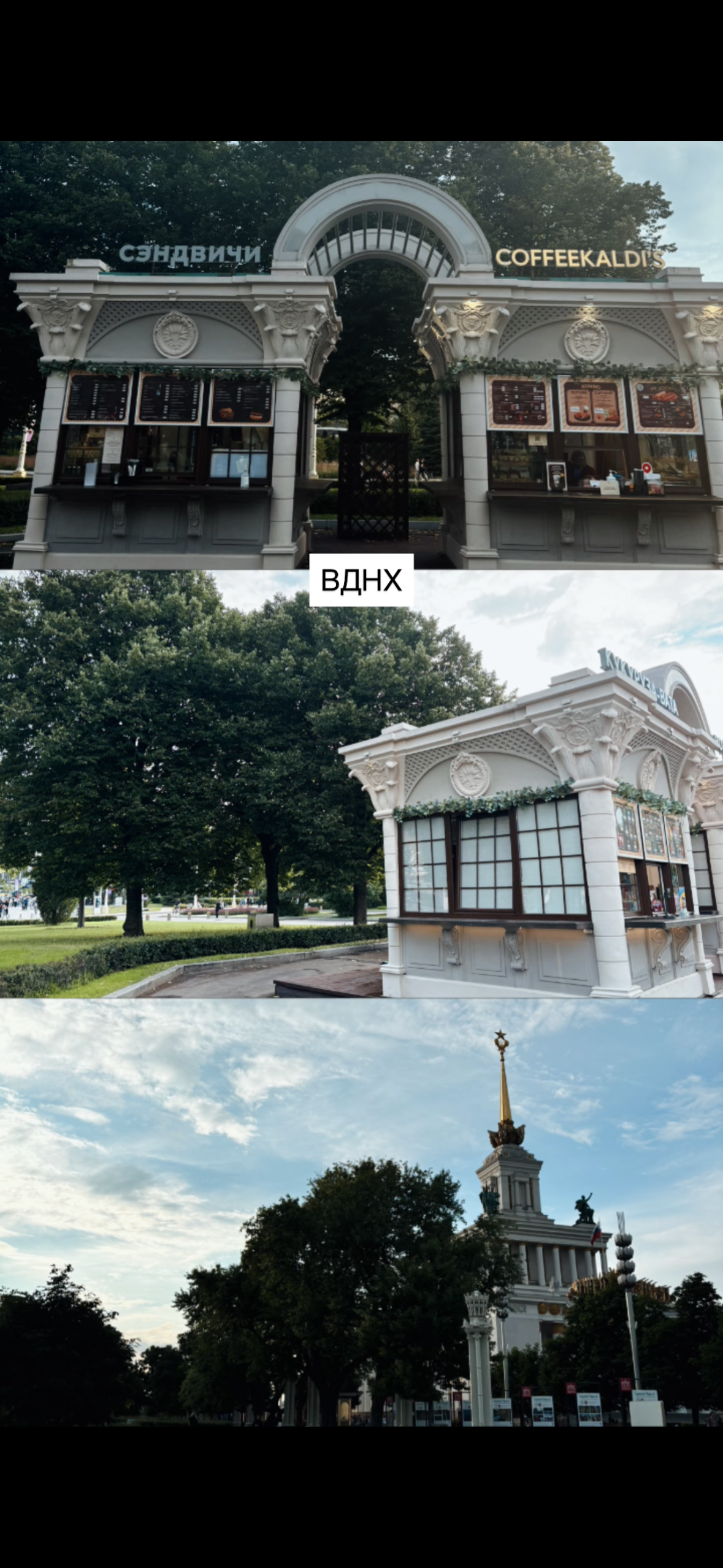 Городские. Фотограф Светлана Мерзлякова