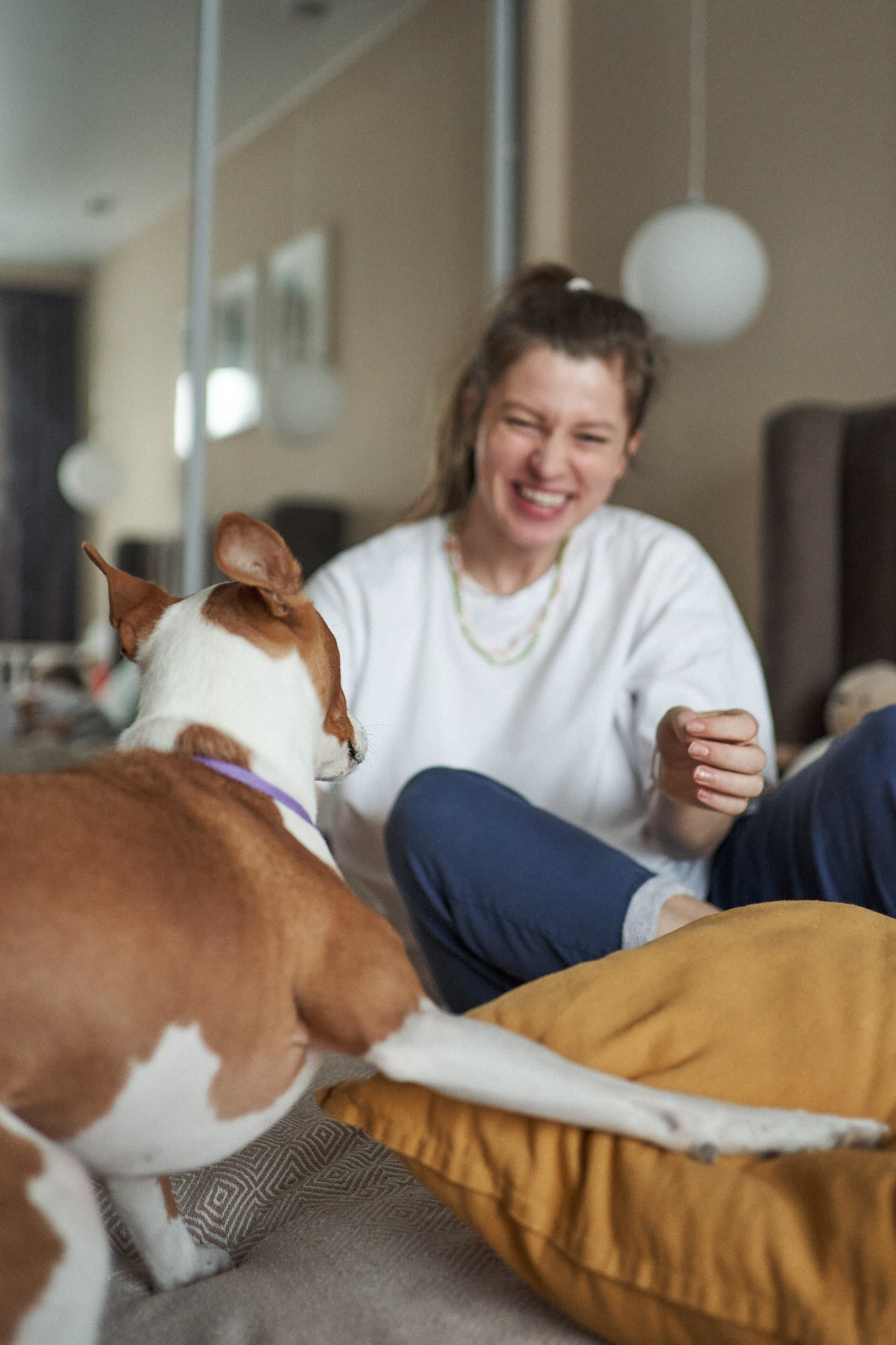 Аня, Майя и Пепси. Фотограф анималист Москва Дарья