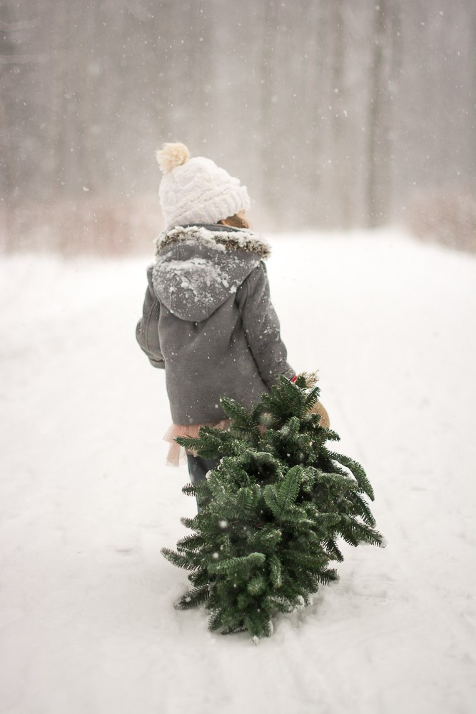 Зима в лесу. Фотосессия беременности — Крылова Натали — Москва