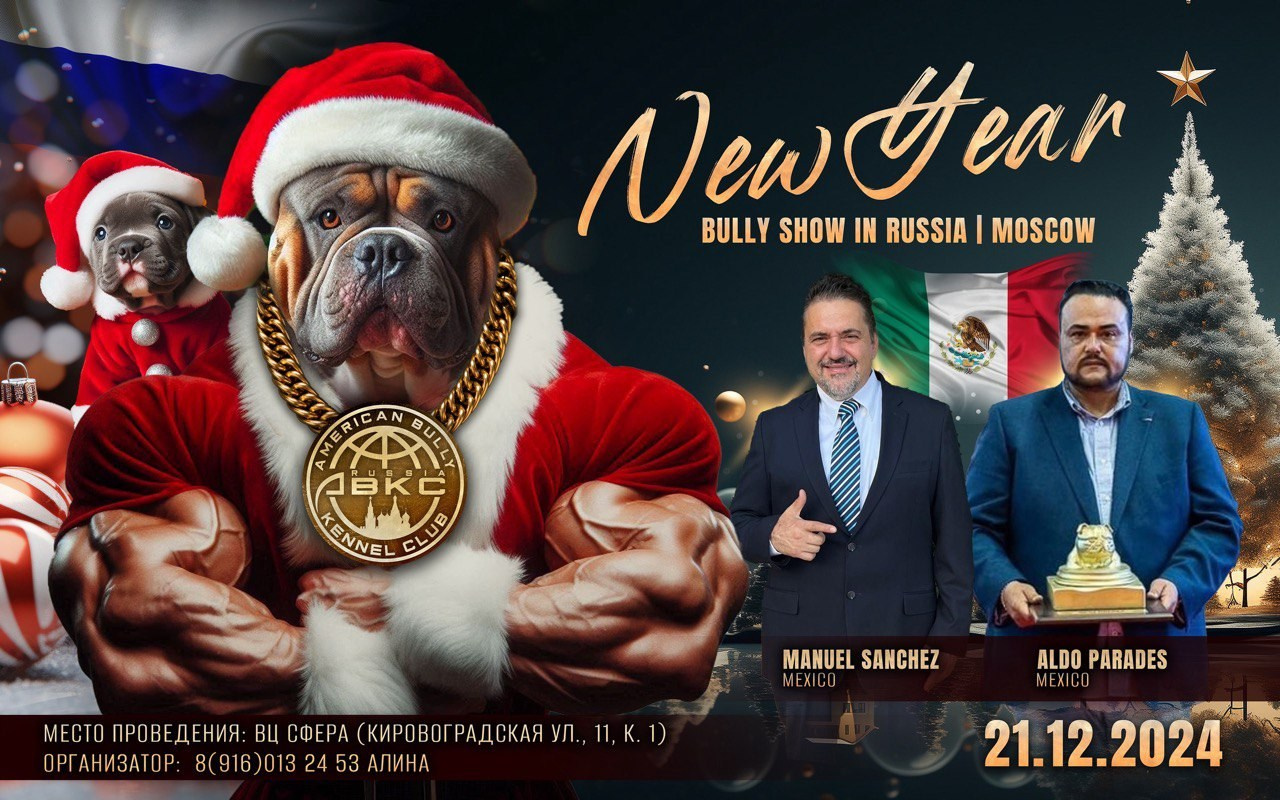 Участие в выставках. Американские булли XL в г. Калининград. Питомник Great Bully UNIVERSE