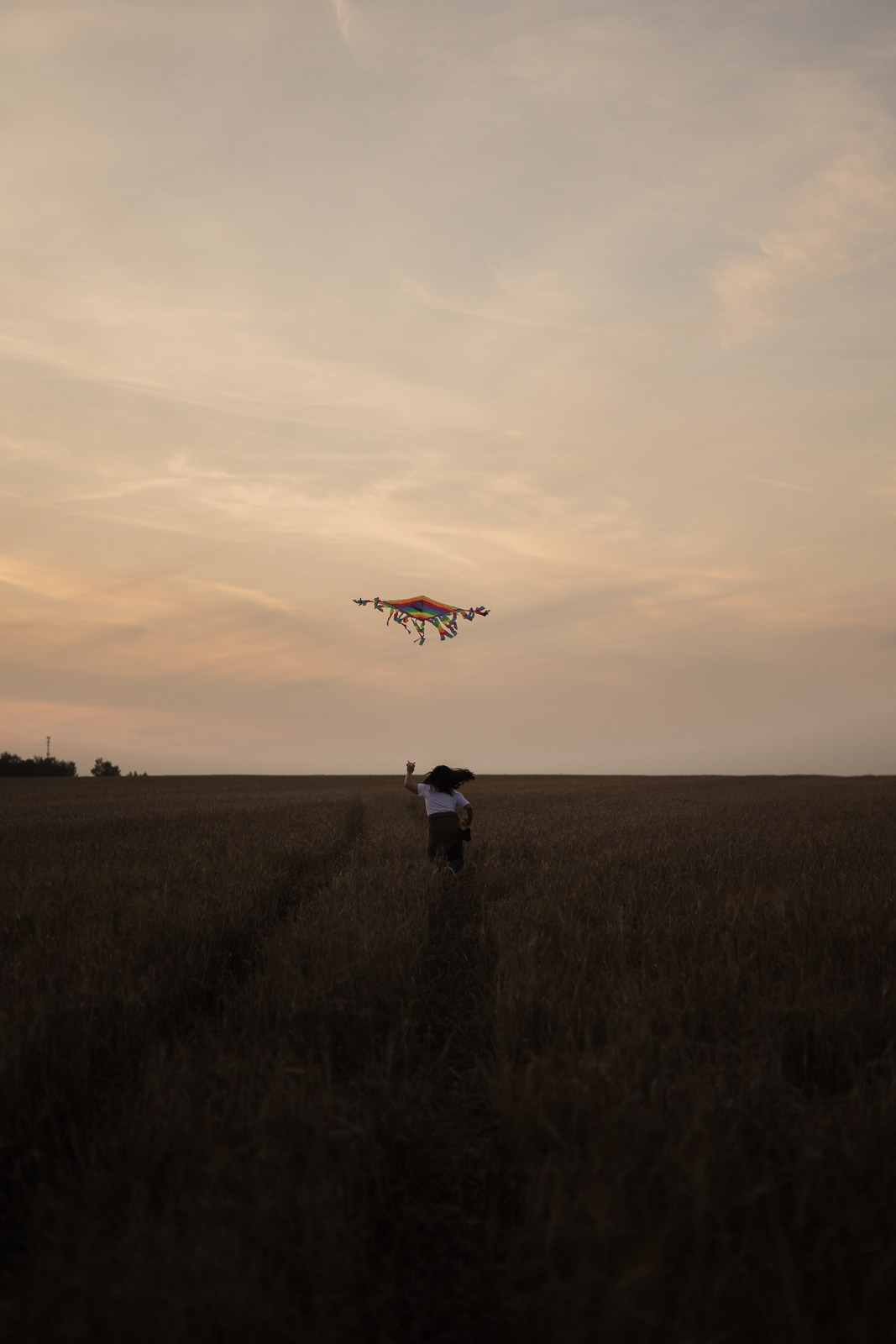 Семья в поле. Фотограф в Москве и Домодедово Ирина Коростелева