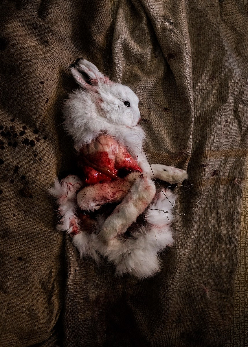 Атлас первого снега серия фотографий. Елена Аносова — художница и исследовательница, куратор и лектор