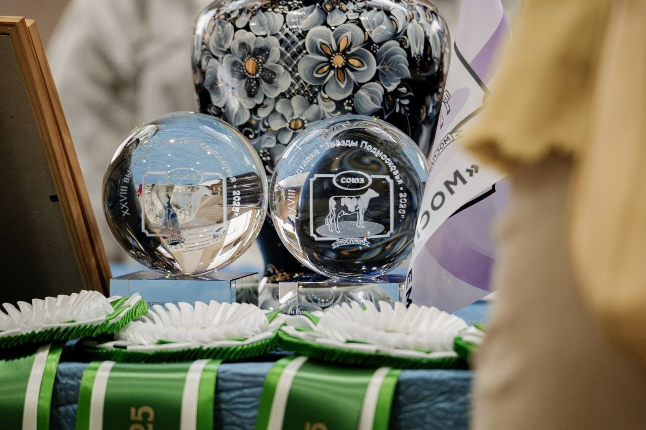 Звёзды Подмосковья — 2025. Куракина Дарья • Конный фотограф