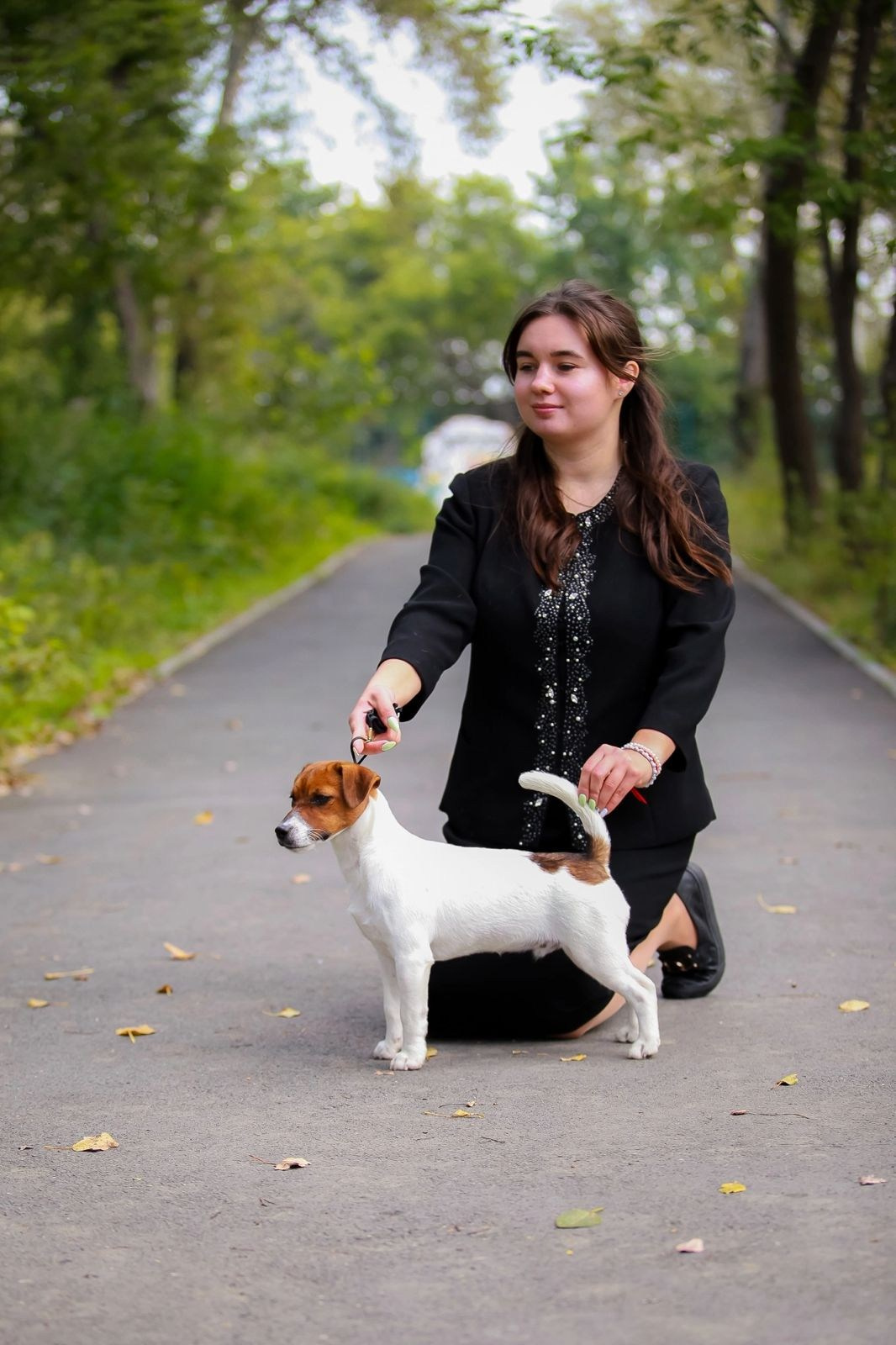 Джек рассел отзывы владельцев и покупателей щенков. CANE MAESTRO — kennel Jack Russell Terrier