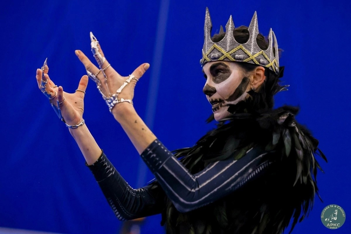 Соревнования по танцам с собаками. Спортивный фотограф Зянтереков Антон