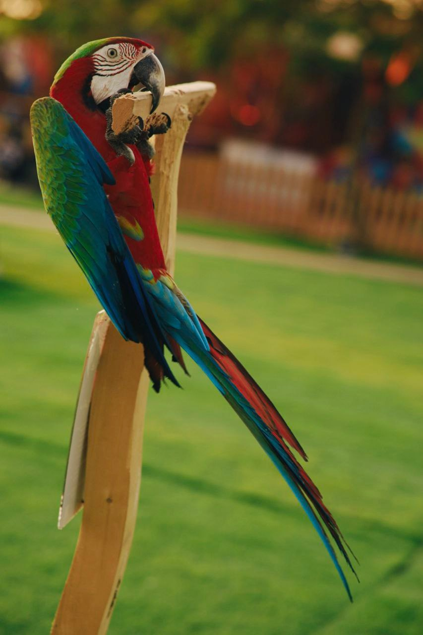 Эль-Джубайль. СА. 2025. Фотограф Михаил Олейник