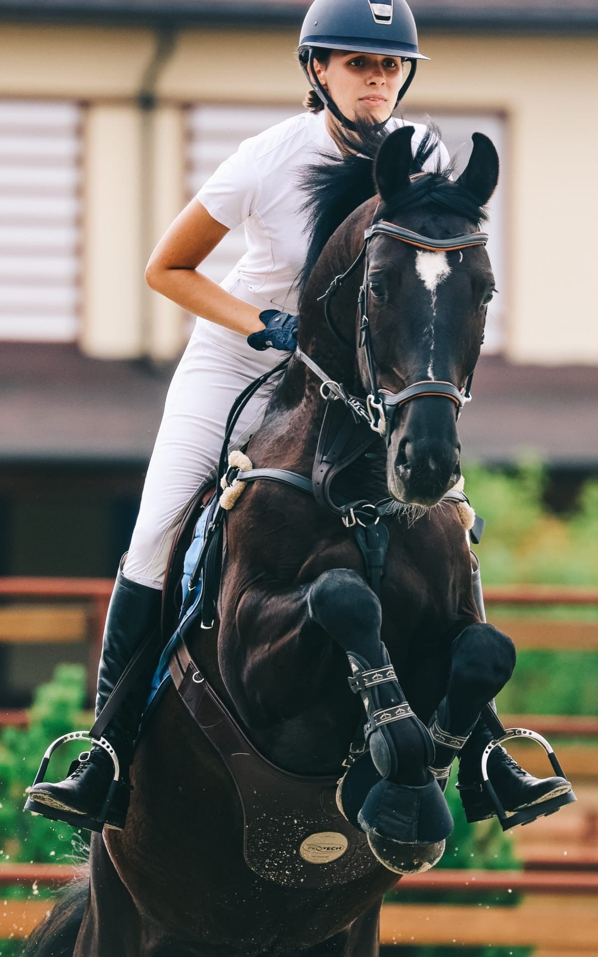 Летние соревнования. Фотосессии с лошадьми